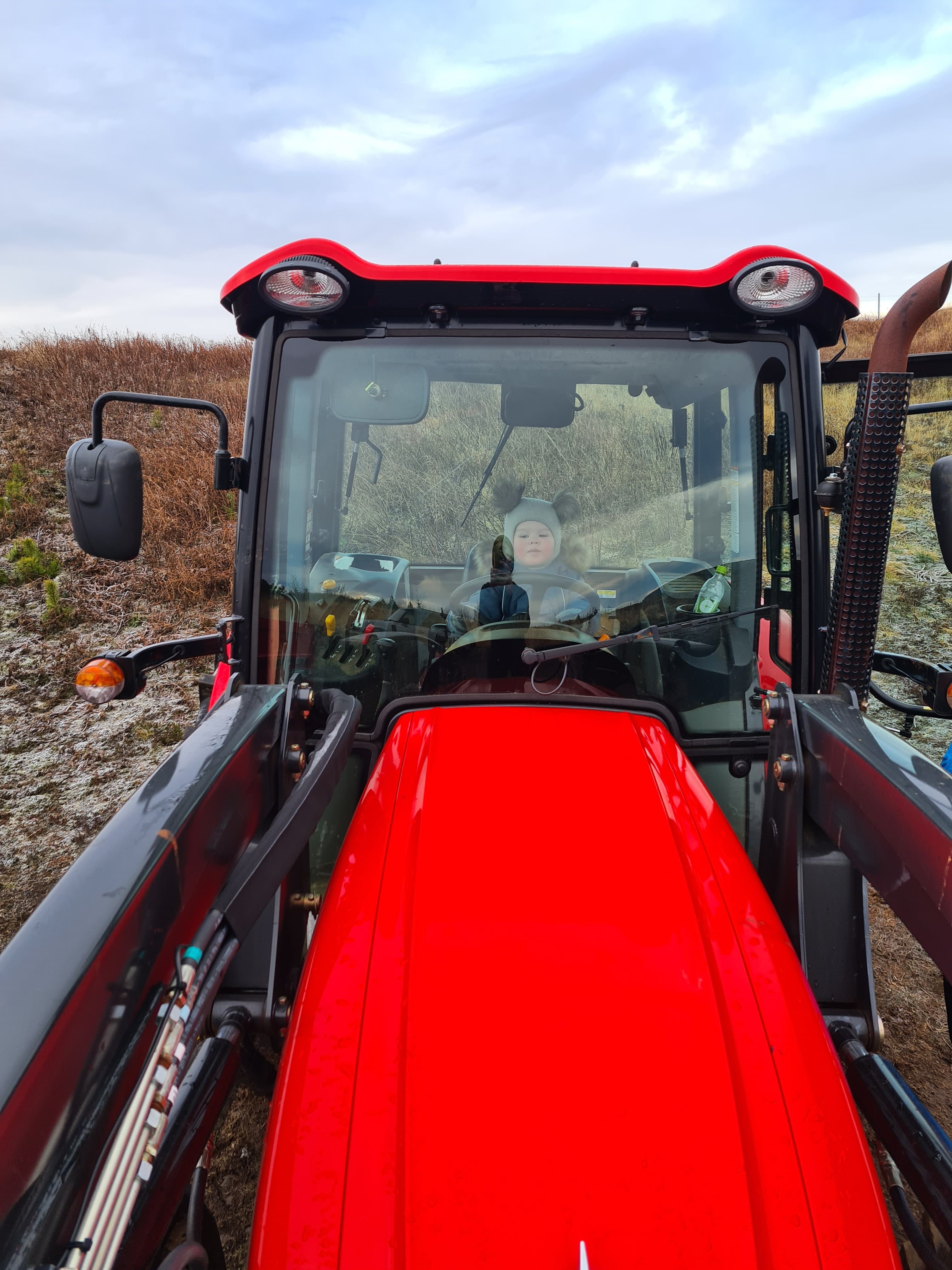 A red tractor on the planting site