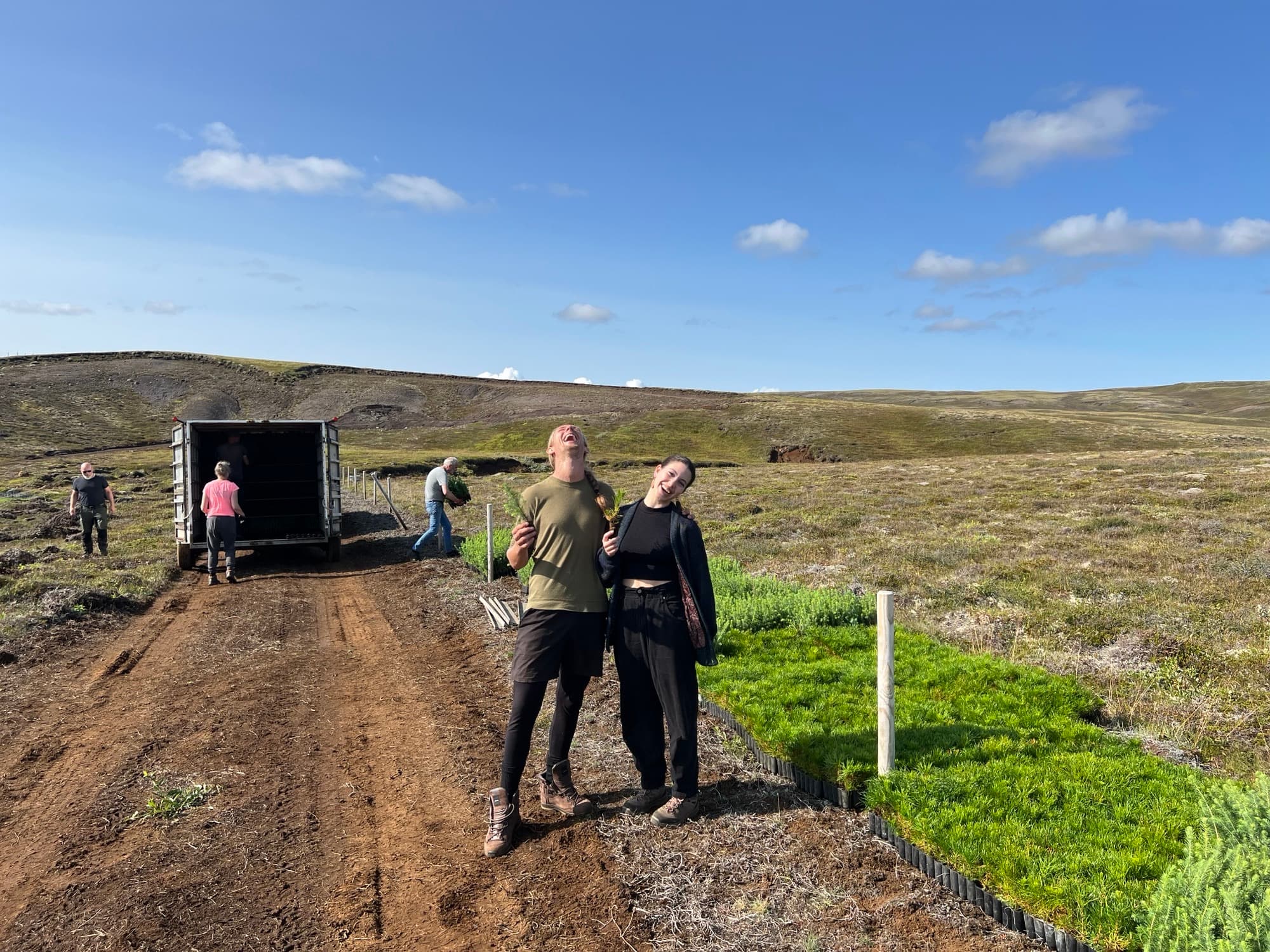 Unloading seedlings by the track