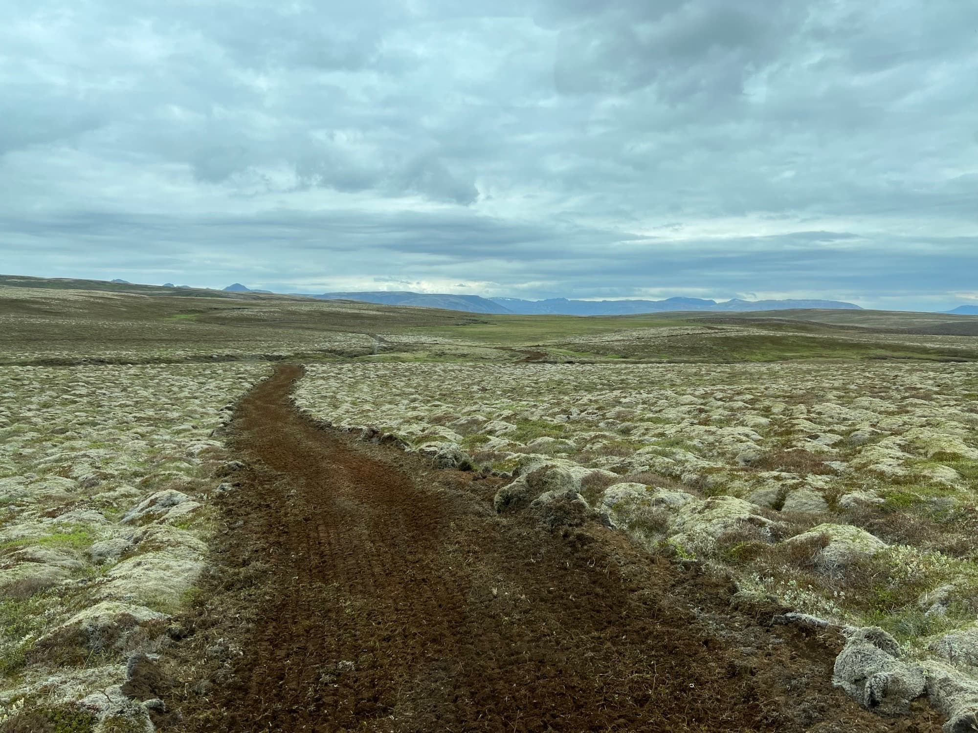 A prepared furrow across mossy heathland