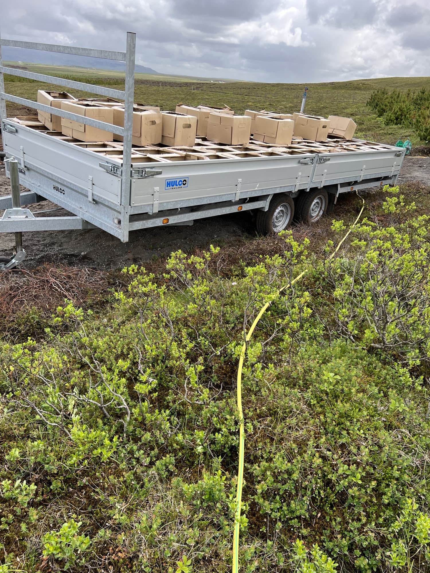 Seedling trays on a trailer